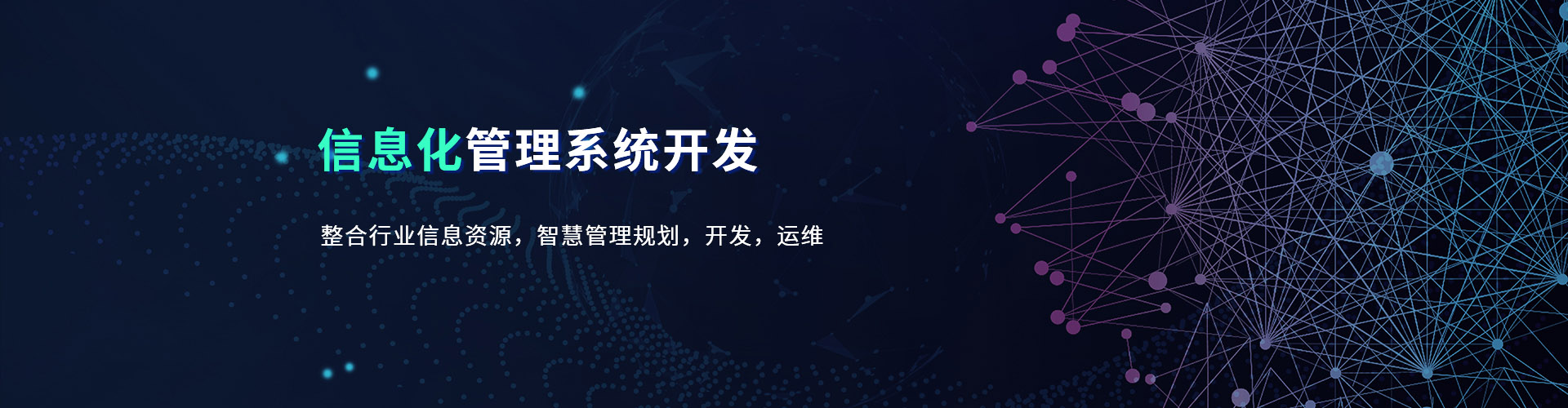 信息化管理系統(tǒng)開發(fā)